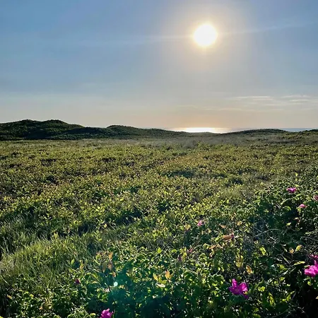 Moderne-ferienwohnung-waihues-1-sylt-in-ruhiger-lage Appartement *